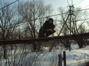 Фотография Светлана Гапонова