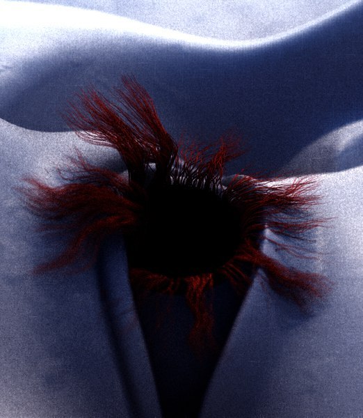 Василий Пестов | Dresden