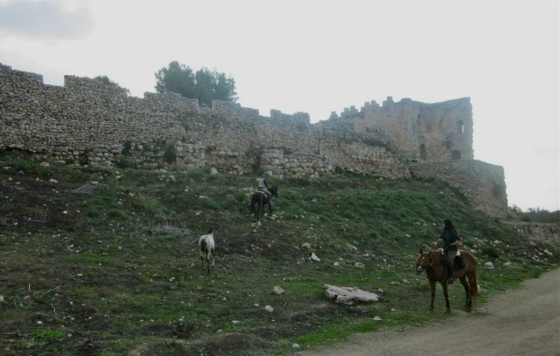 Анета Надецки | Тель-Авив