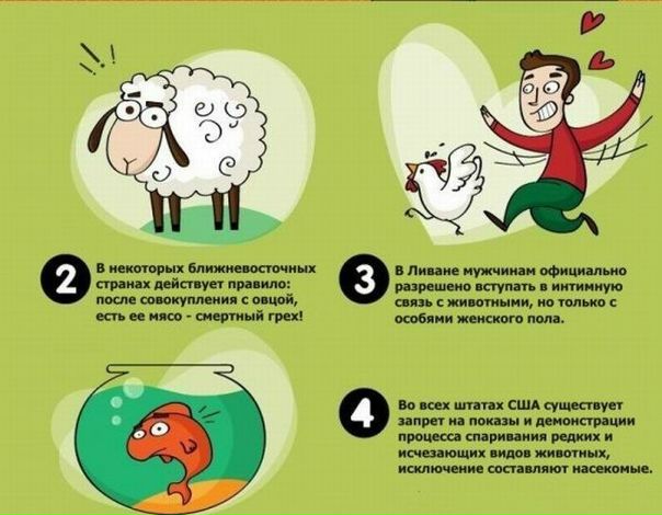 №180, Паша Дорошенко, 37 лет, Екатеринбург №180, Паша Дорошенко, 37 лет, Екатеринбург