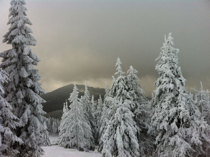 Андрей Сычев Cbl4 | Киев