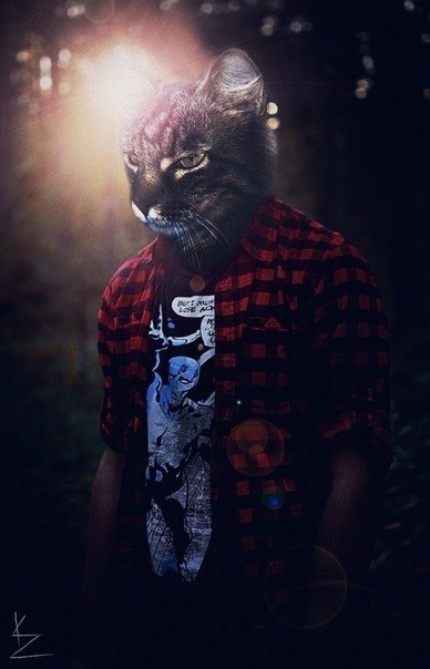 Ярослав Даньков | Екатеринбург