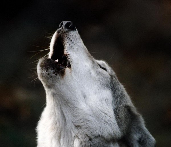 Валера Сидарюк | Донецк