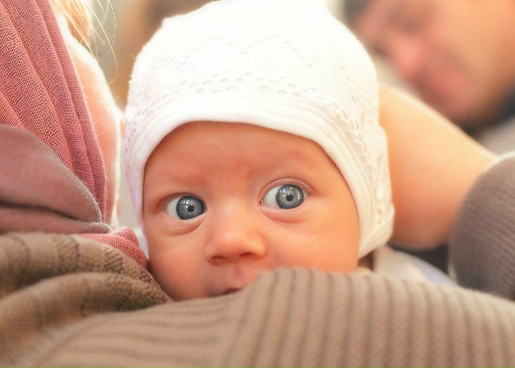 Вячеслав Красиков | Истра