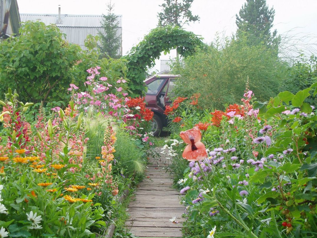 Павел Орлов | 