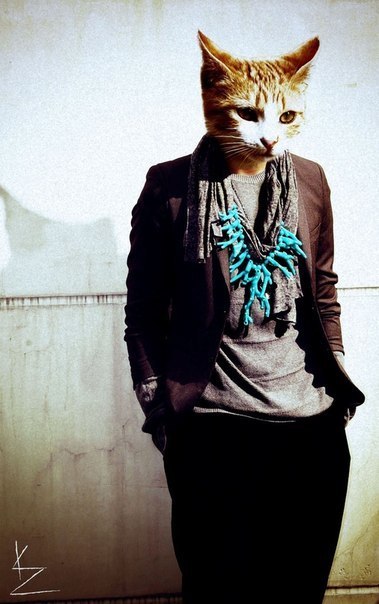 Tommy Green | Gokarna