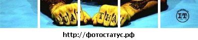 Павел Щербаков фото со стены #14