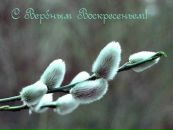 Фотография Елена Иванова