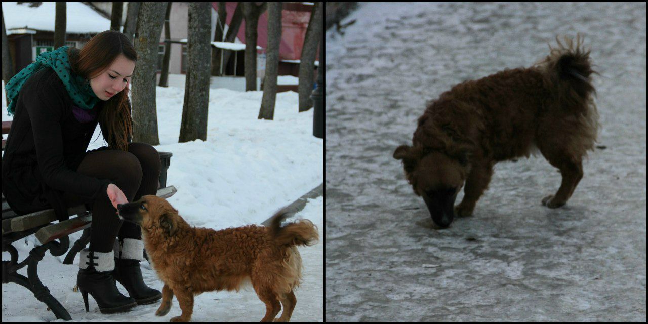 Валерия Чалая | 