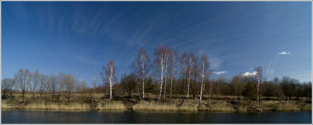 Юрий Гришков | Витебск