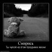 Амир Мертвецкий фотография #42