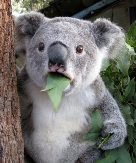 №65, Андрей Хрулёв №65, Андрей Хрулёв