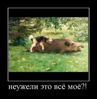 Коля Яценко | Павлоград