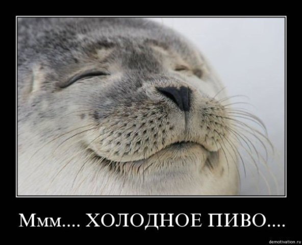 №3, Алексей Жуков, 42 года, Санкт-Петербург, Россия №3, Алексей Жуков, 42 года, Санкт-Петербург, Россия