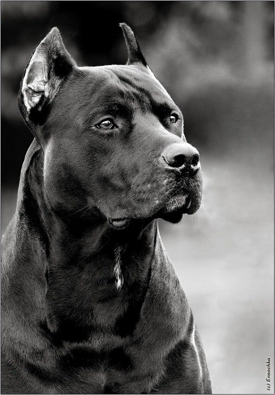 Назар Бабенко | Набережные Челны