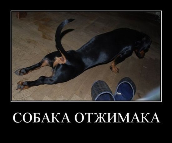 Юля Капелюшок | Киев