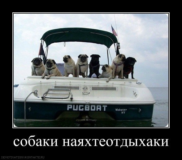 Юля Капелюшок | Киев