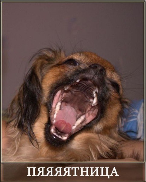 Юля Капелюшок | Киев