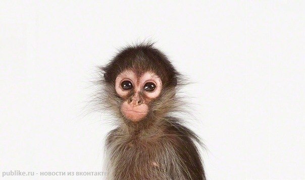 Marina Parubocha | Киев