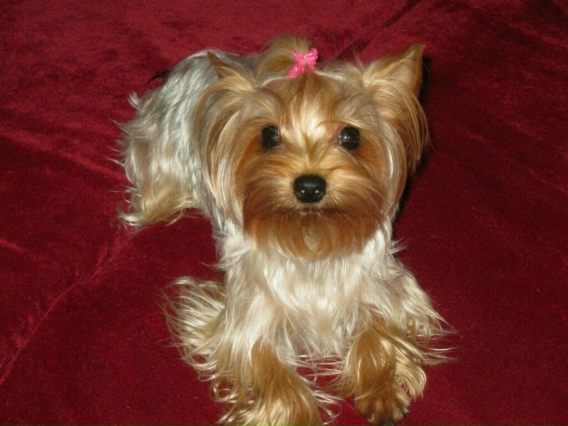 Анастасия Стеценко N@FTIA | Киев