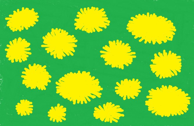 Лилия Сергиенко | Харьков