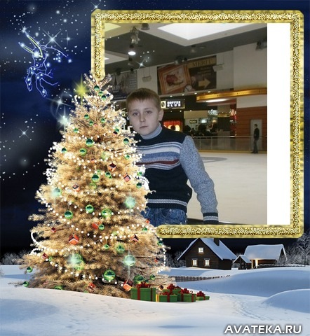 №13, Дмитрий Пугачев №13, Дмитрий Пугачев