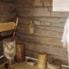 Аватар: Наталья Онянова-трясцина