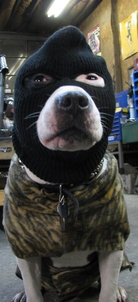 Сергей Бяков | 