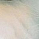 №33, Виталина Мач, Харьков №33, Виталина Мач, Харьков