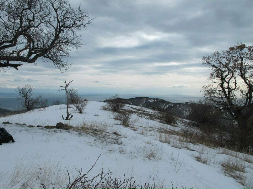 Игорь Баженов | 