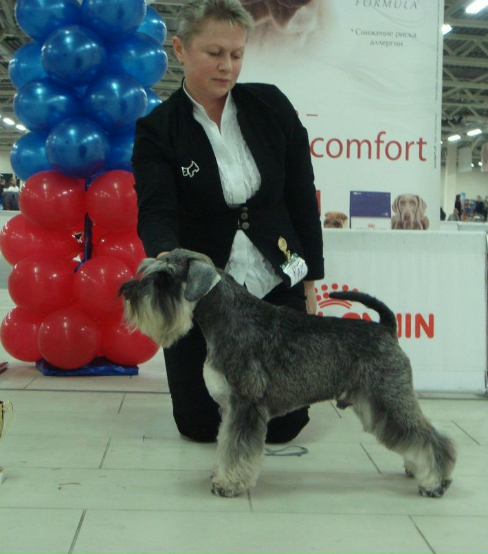 Елена Никитина | Санкт-Петербург