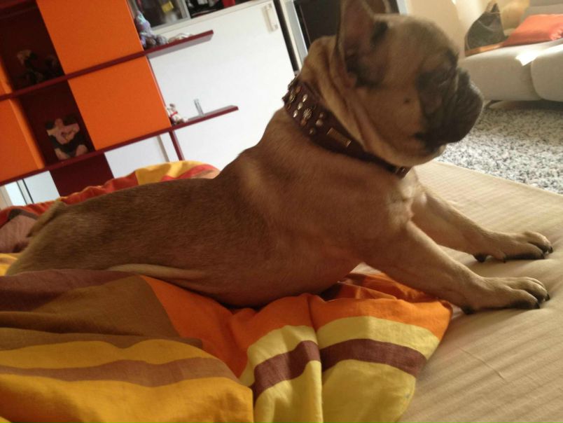 №44, Наташа Яхина, 35 лет, Санкт-Петербург №44, Наташа Яхина, 35 лет, Санкт-Петербург