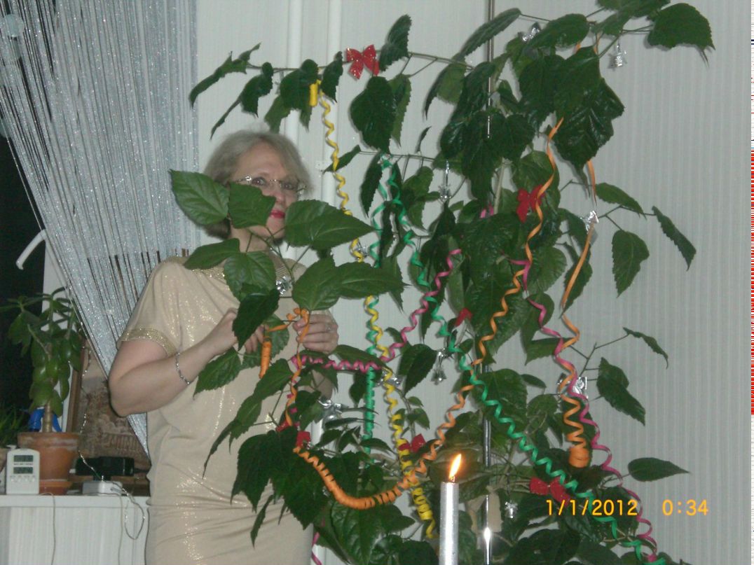 Ирина Рогозина | Санкт-Петербург