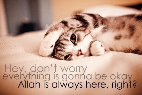 Лиля Малахова | Москва