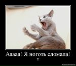 №15 Татьяна Ноговицина Есендал 18.01.1982: профиль, фото, статус - ВКонтакте