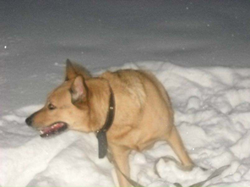 №98, Максими Дудник, Москва №98, Максими Дудник, Москва