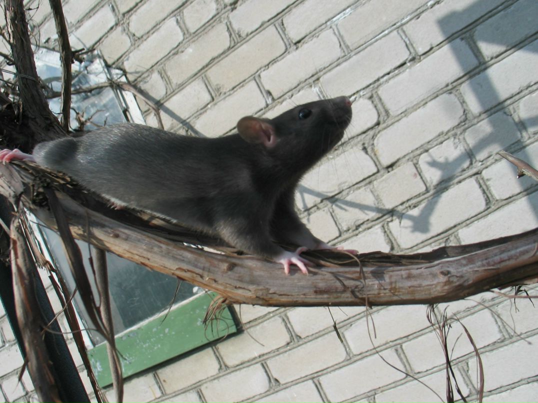 Ирина Нестерова | Gdańsk