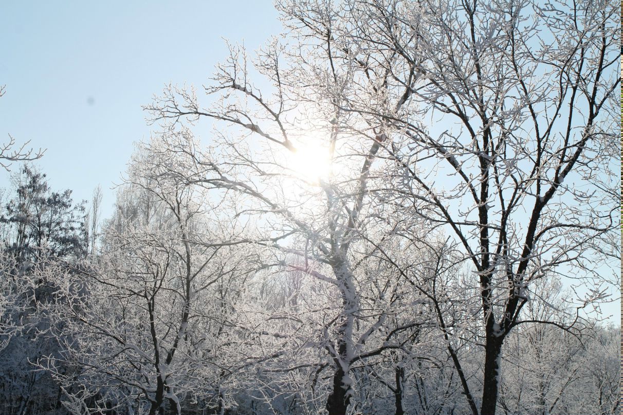 Елена Селиванова | Липецк