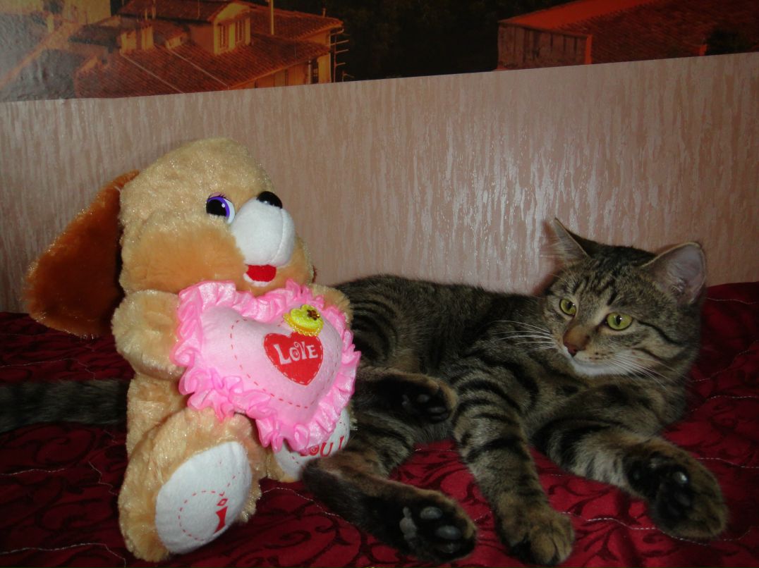 Елена Маркичева | Бор