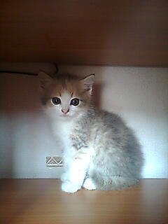 Евгения Степанова | Казань