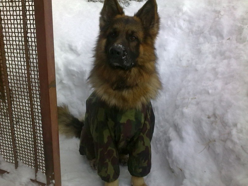 Артур Татаркин | Казань