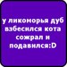 Дмитрий Шумский фотография #14