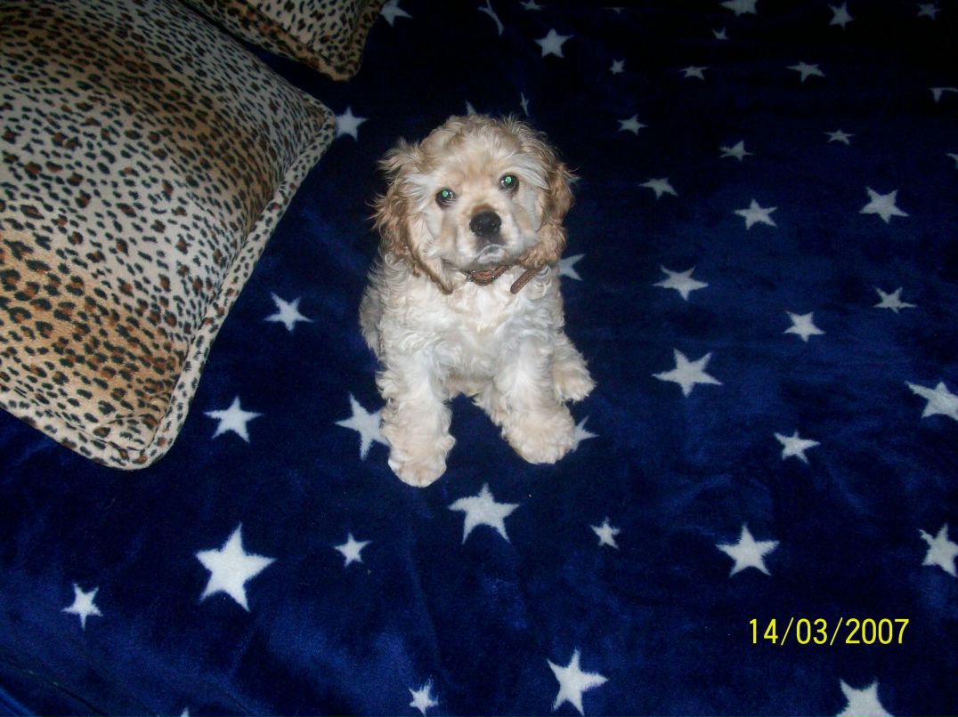 Даша Хамутинина Pandochka | Николаев