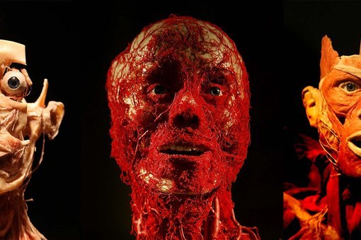 №10, Людмила Пронина, 37 лет, Санкт-Петербург №10, Людмила Пронина, 37 лет, Санкт-Петербург