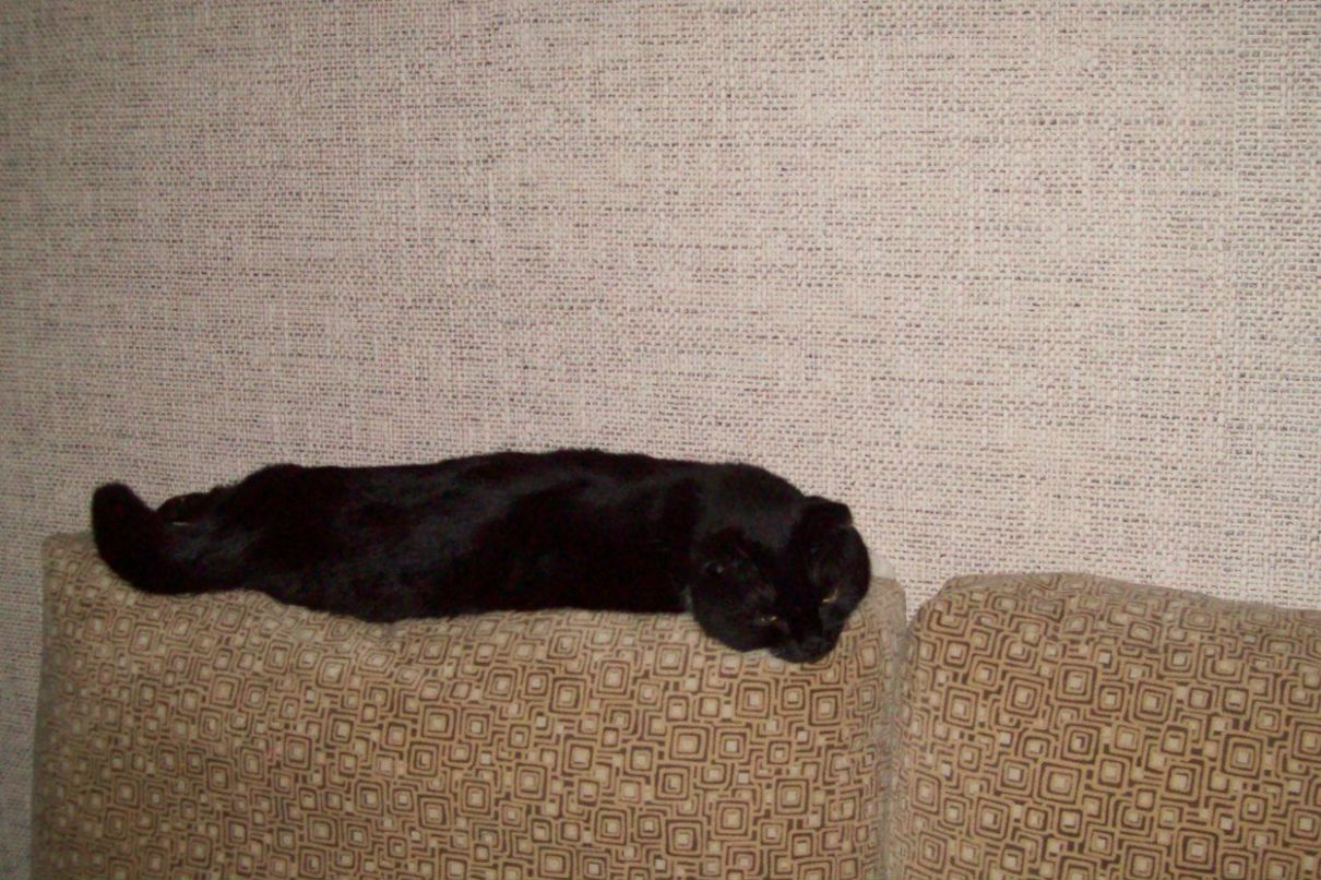 Самуил Шурухт | Санкт-Петербург