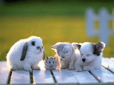 Олег Гурков | Рогачев