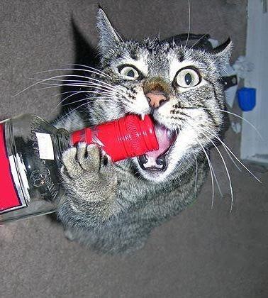 №6, Богдан Слюсар, 40 лет, Одесса №6, Богдан Слюсар, 40 лет, Одесса