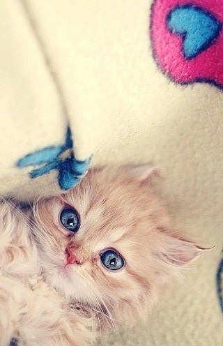 Оксана Біскупська | Тернополь