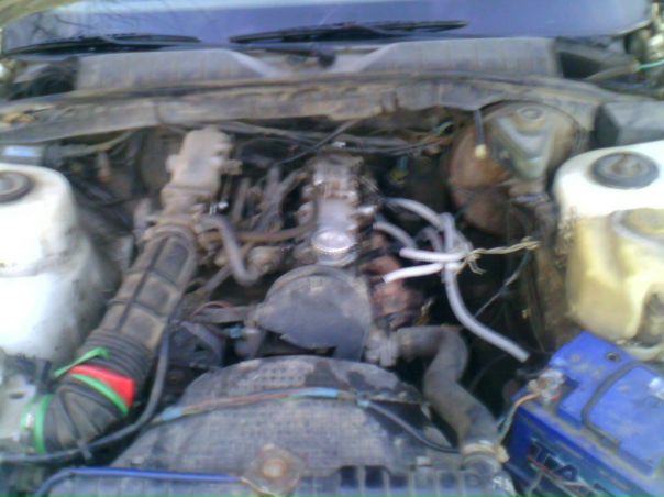 №155, Любовь Котов, Краснодар №155, Любовь Котов, Краснодар