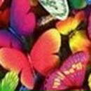 Лилия Иванова | Безенчук